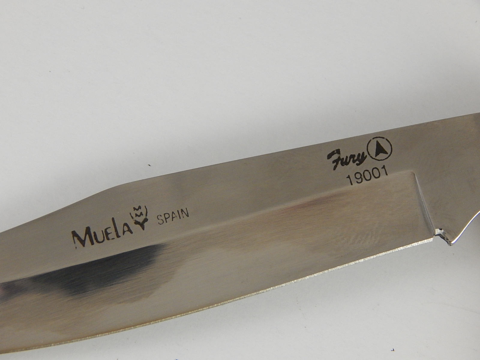 Muela Spain Fury 19001 Switch Blade