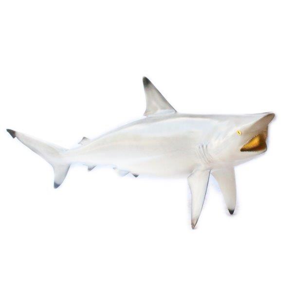 Replica Bull Shark Taxidermy