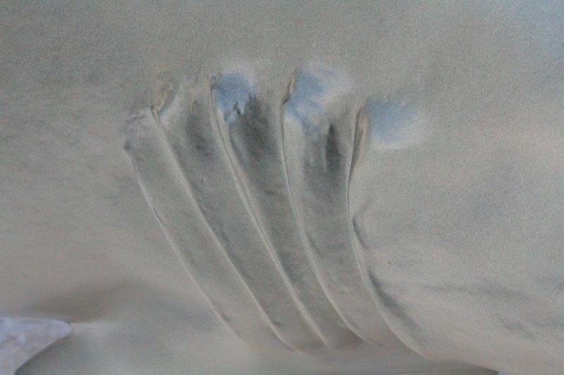 Replica Bull Shark Taxidermy