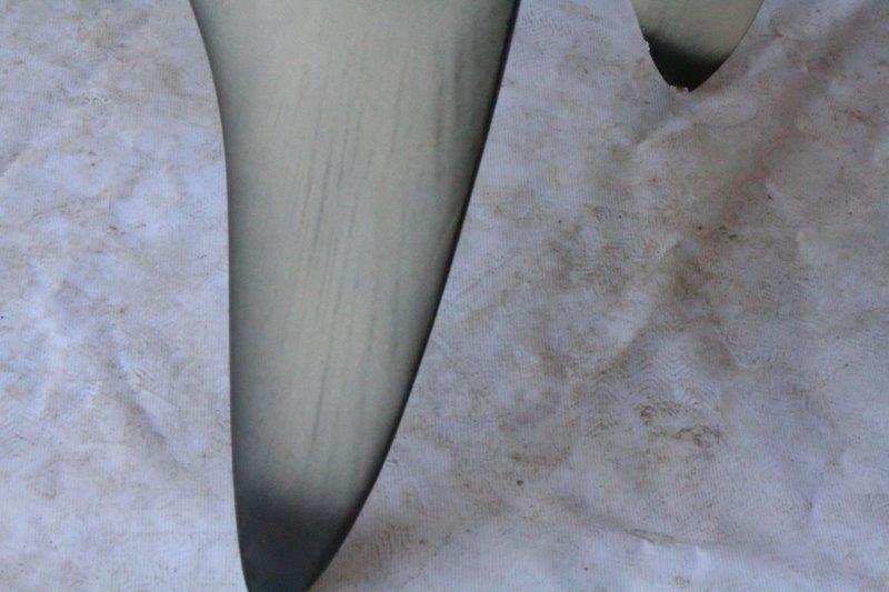 Replica Bull Shark Taxidermy