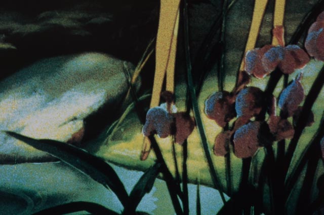 Complete Set of Eight 1982 Color Lobby Cards for Walt Disney's "Bambi"