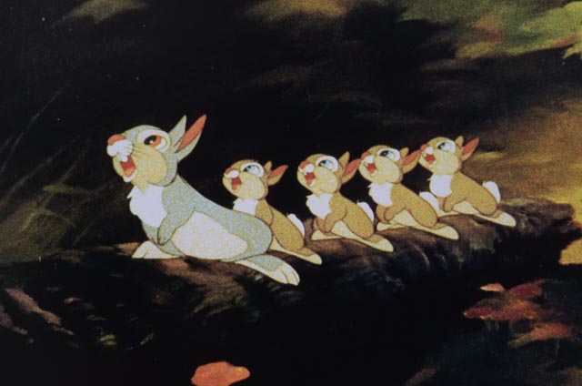 Complete Set of Eight 1982 Color Lobby Cards for Walt Disney's "Bambi"