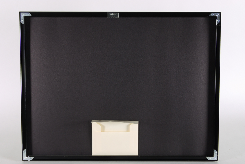 The Jimi Hendrix Experience "Are You Experienced" Limited Edition Framed Gold Plated Record