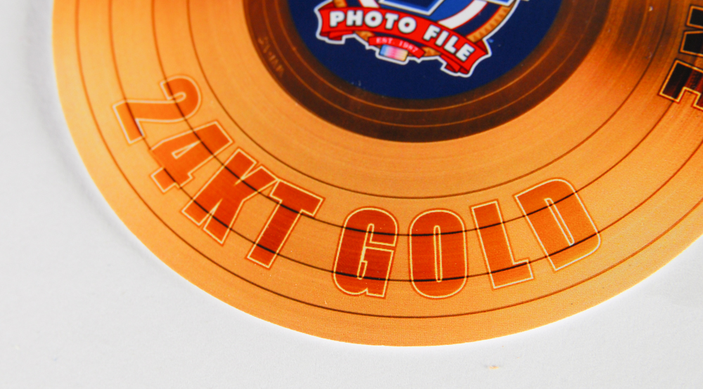 The Jimi Hendrix Experience "Are You Experienced" Limited Edition Framed Gold Plated Record