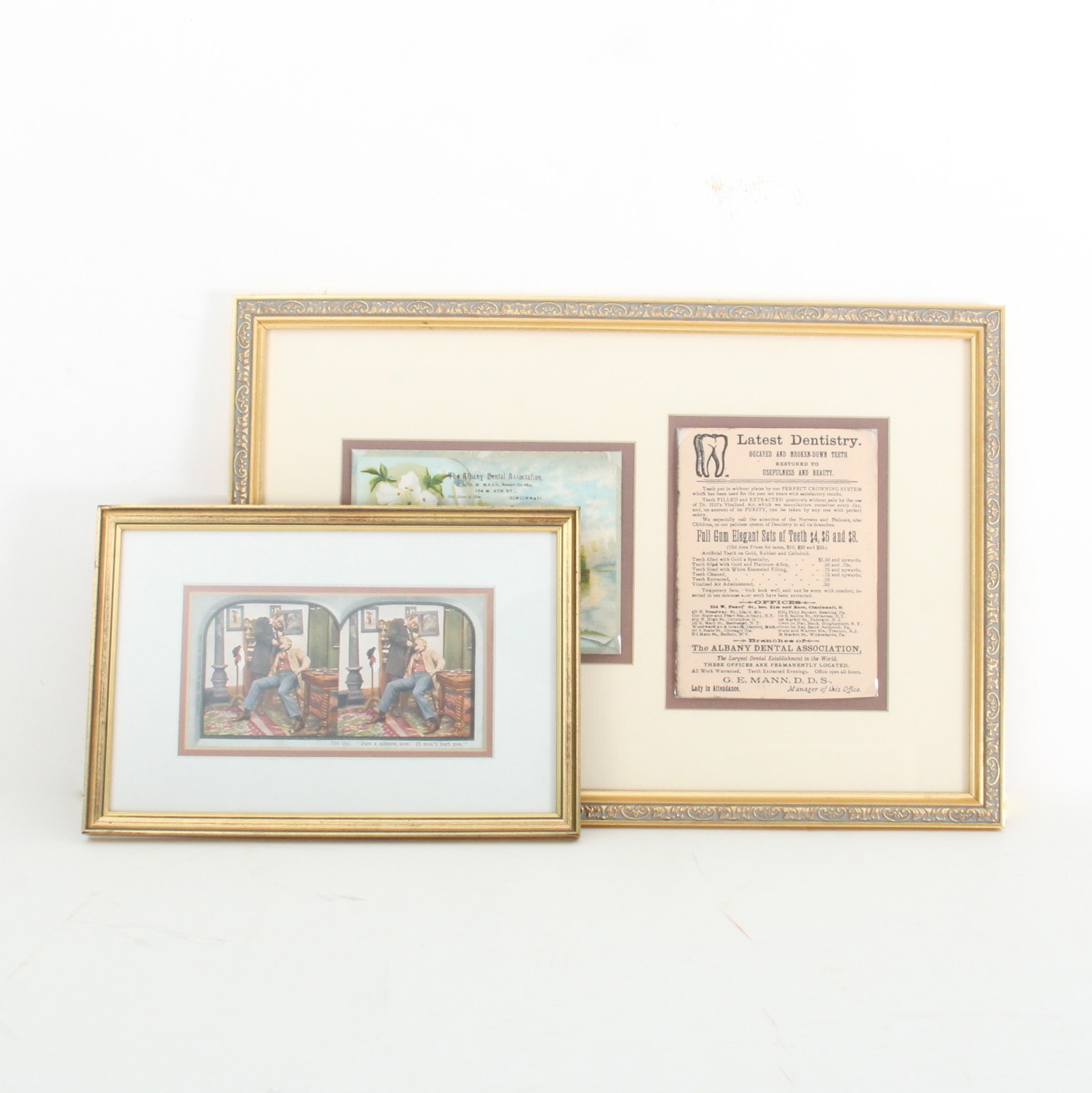 Pair of Dentist Themed Wall Decor