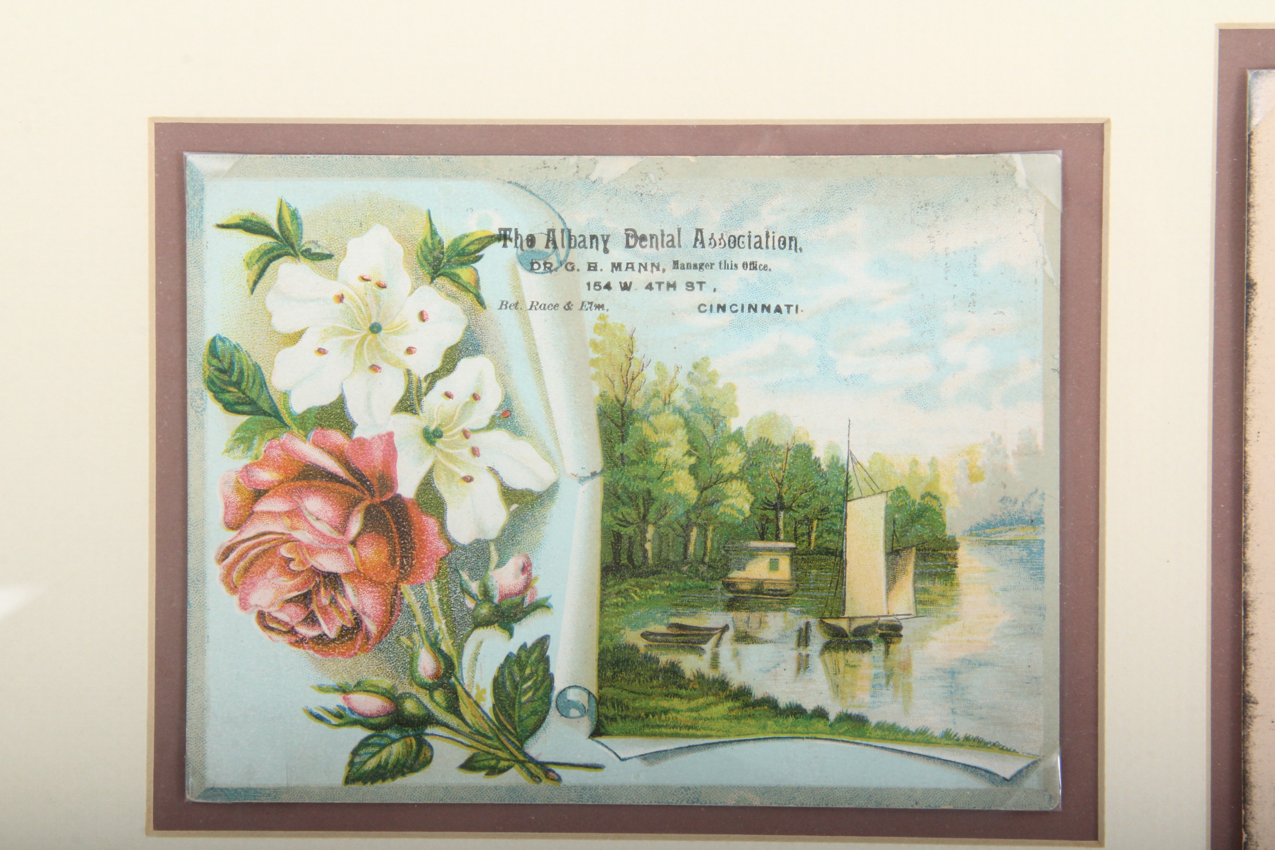 Pair of Dentist Themed Wall Decor