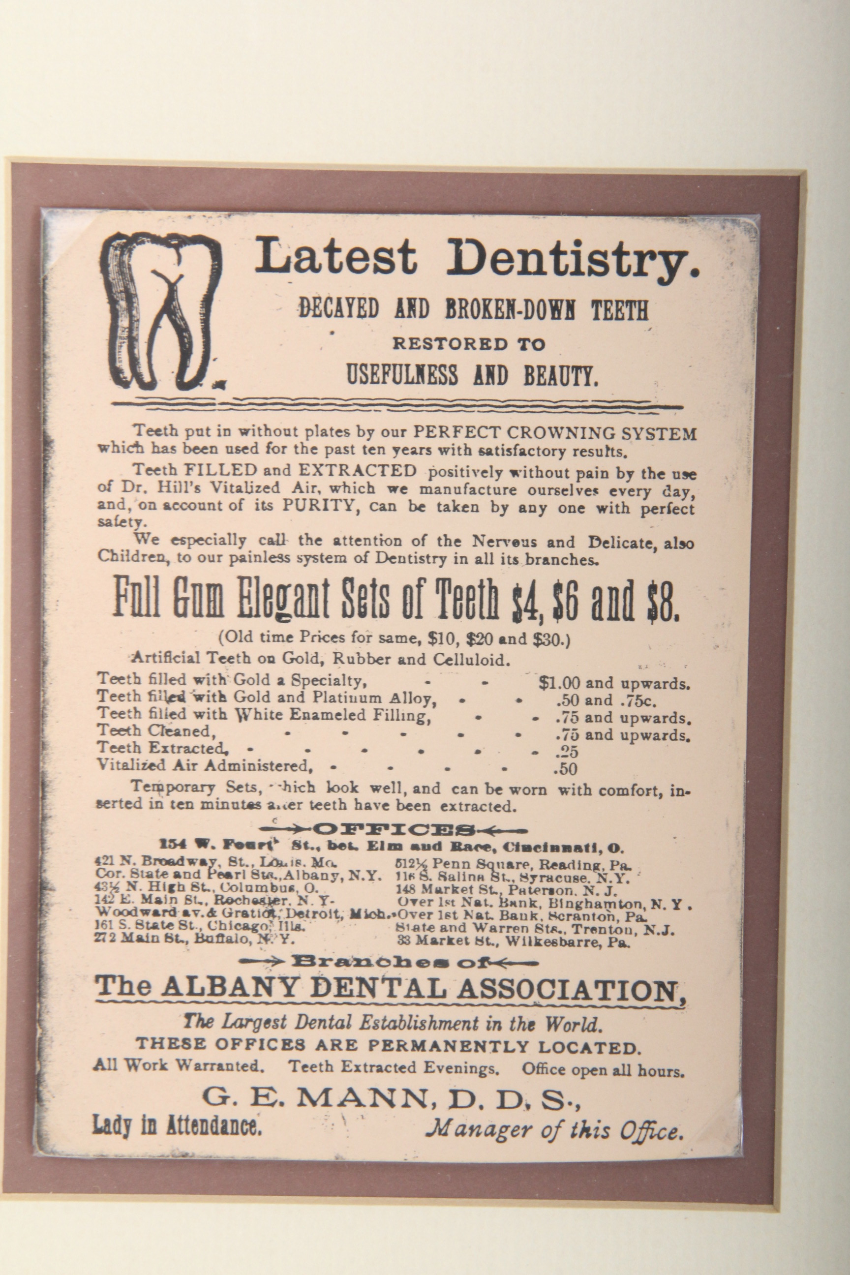 Pair of Dentist Themed Wall Decor