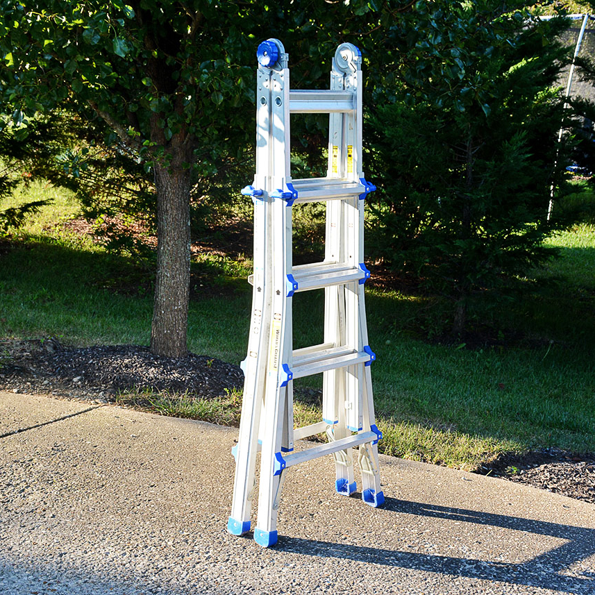 Costco "World's Greatest" Ladder with Blue Accents