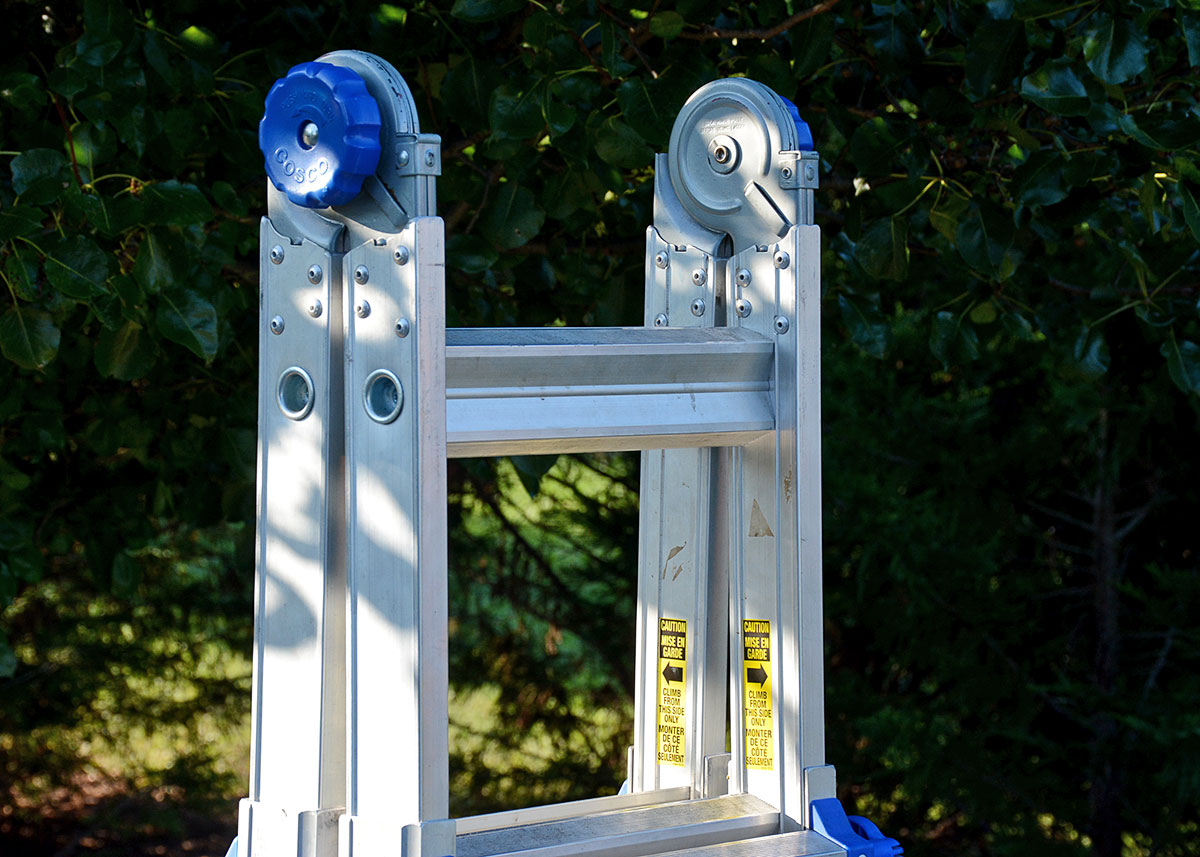 Costco "World's Greatest" Ladder with Blue Accents