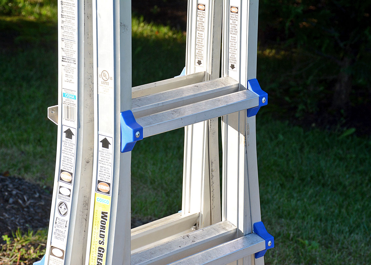 Costco "World's Greatest" Ladder with Blue Accents