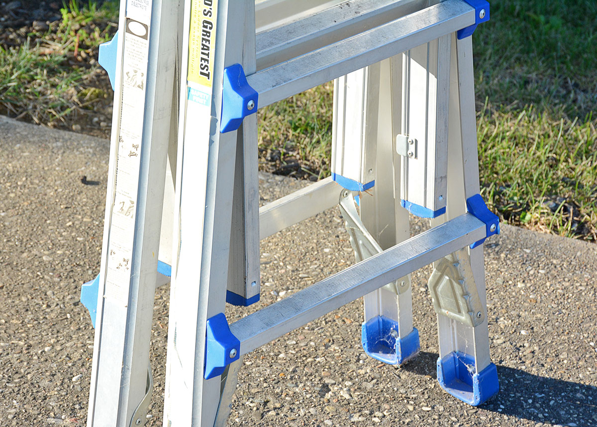 Costco "World's Greatest" Ladder with Blue Accents
