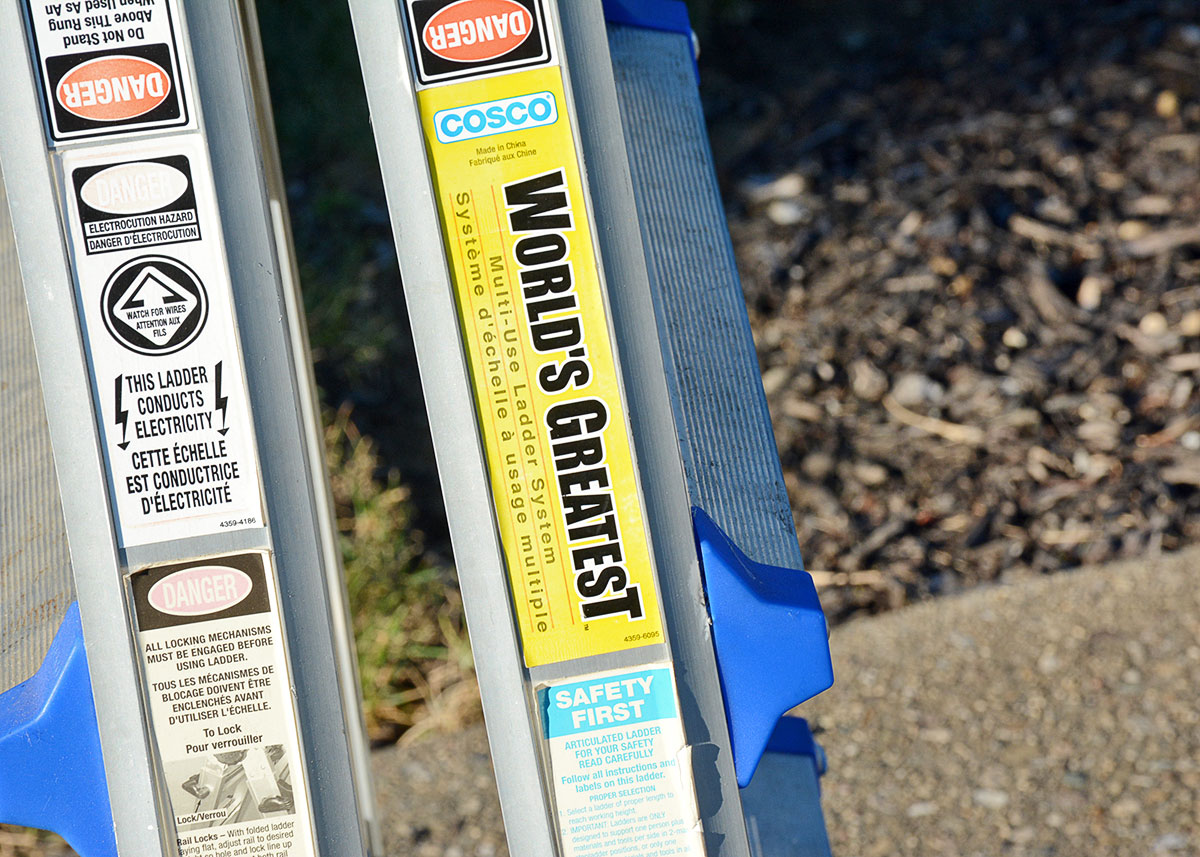 Costco "World's Greatest" Ladder with Blue Accents