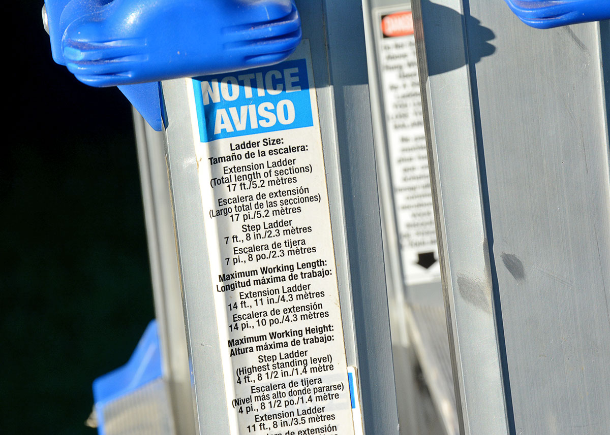 Costco "World's Greatest" Ladder with Blue Accents