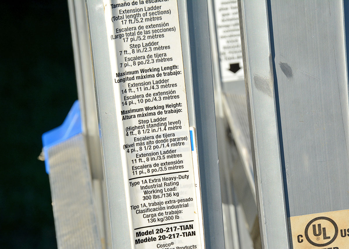 Costco "World's Greatest" Ladder with Blue Accents
