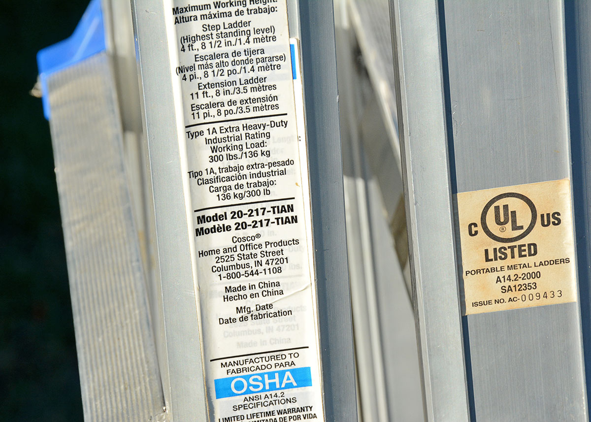 Costco "World's Greatest" Ladder with Blue Accents