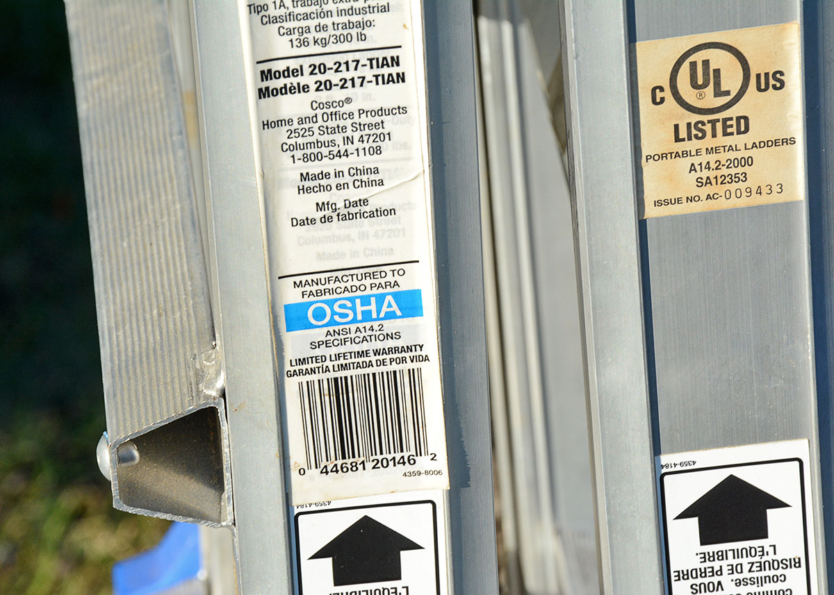 Costco "World's Greatest" Ladder with Blue Accents