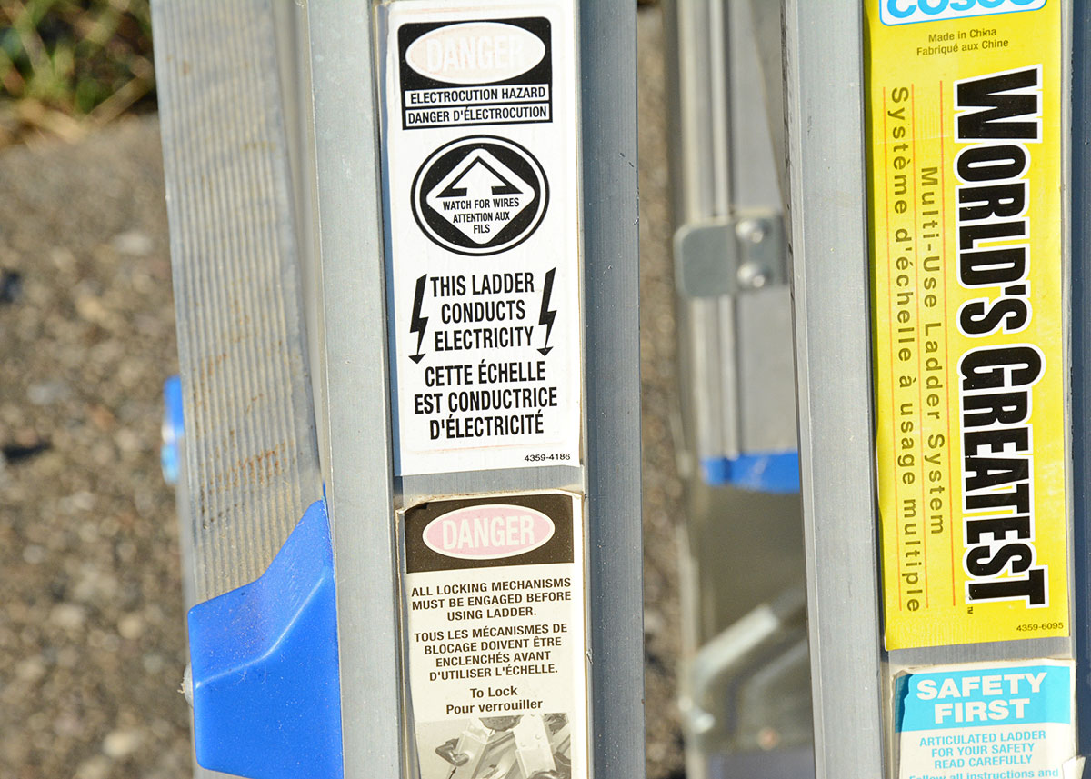 Costco "World's Greatest" Ladder with Blue Accents