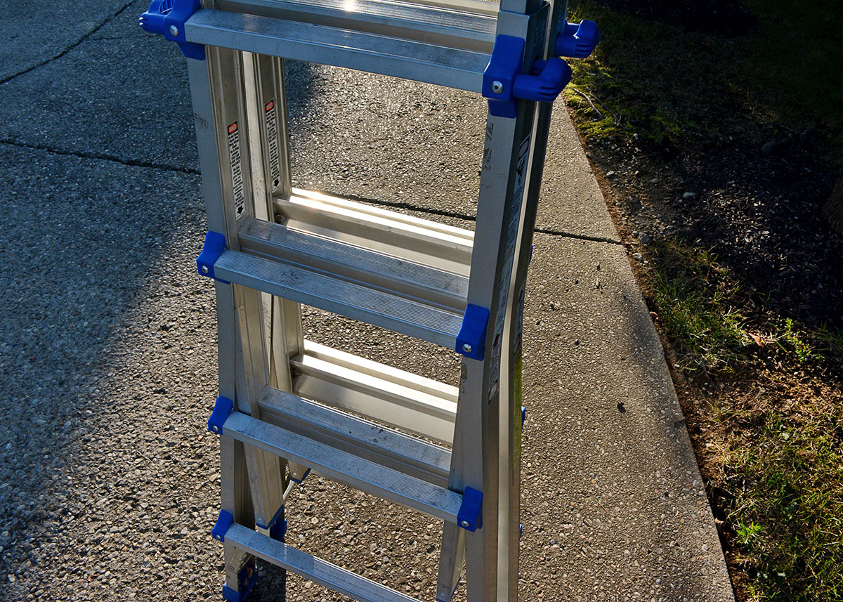 Costco "World's Greatest" Ladder with Blue Accents