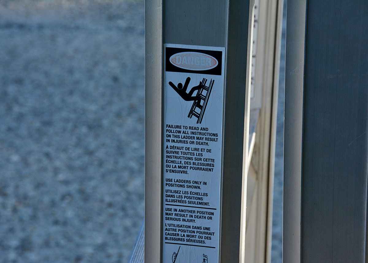 Costco "World's Greatest" Ladder with Blue Accents