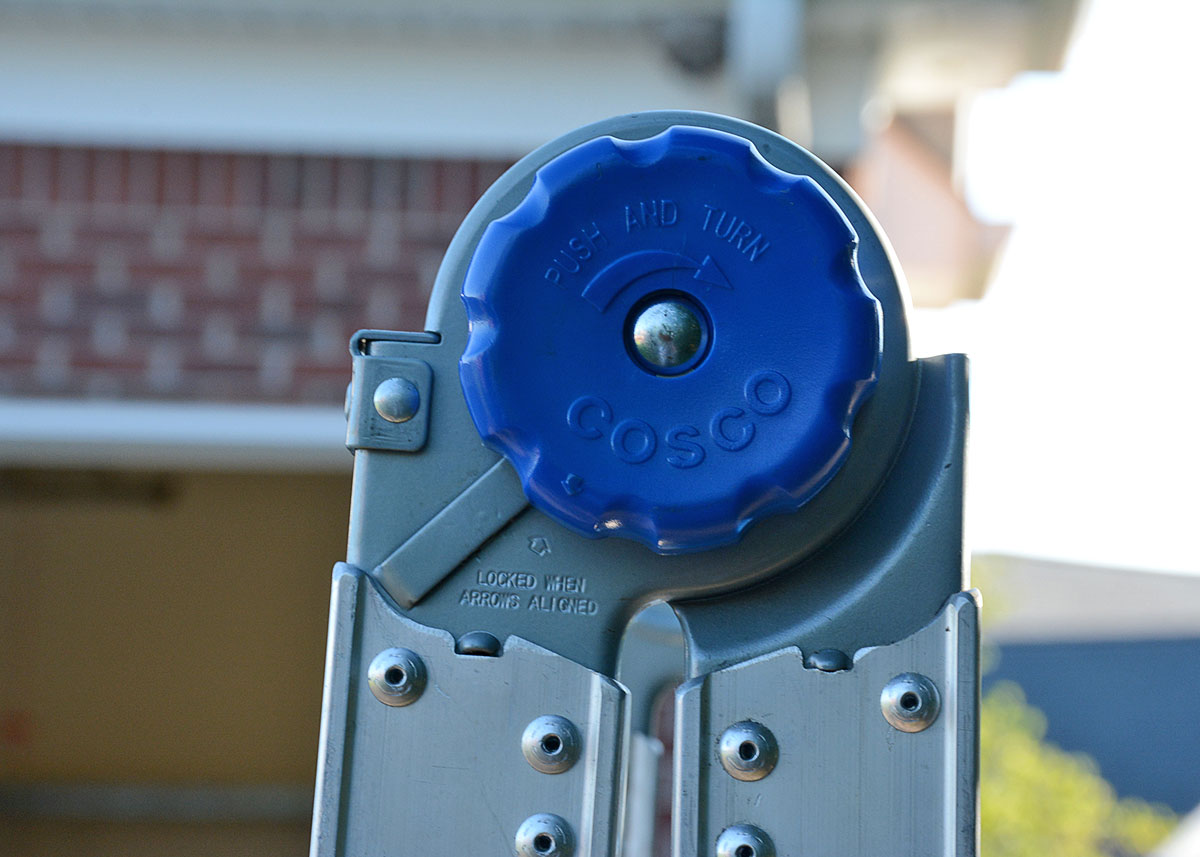 Costco "World's Greatest" Ladder with Blue Accents