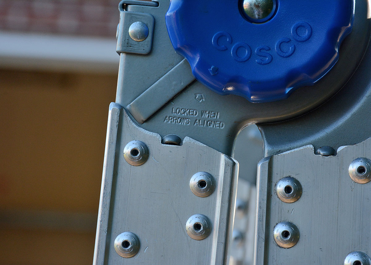 Costco "World's Greatest" Ladder with Blue Accents