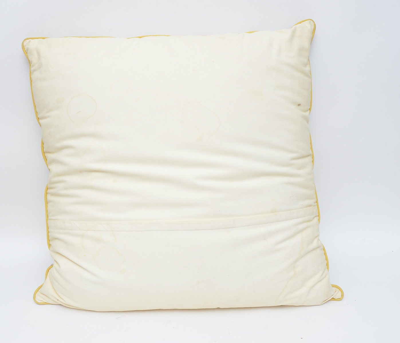 Pair of Large Chainstitched Throw Pillows