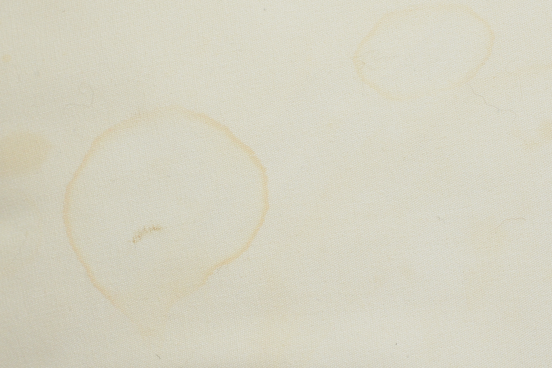 Pair of Large Chainstitched Throw Pillows