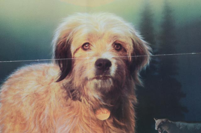 1987 Original One-Sheet Theatrical Poster for Walt Disney's "Benji The Hunted"