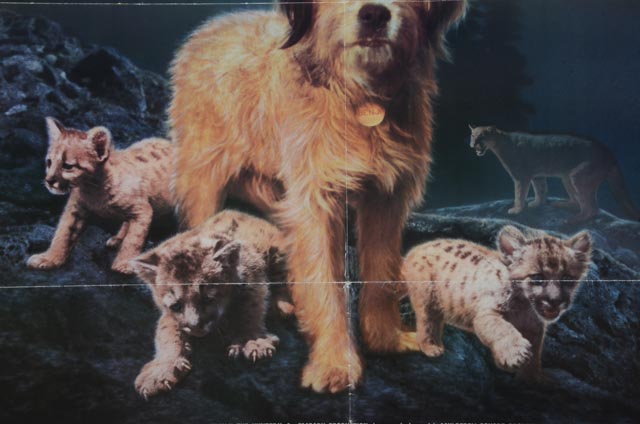 1987 Original One-Sheet Theatrical Poster for Walt Disney's "Benji The Hunted"