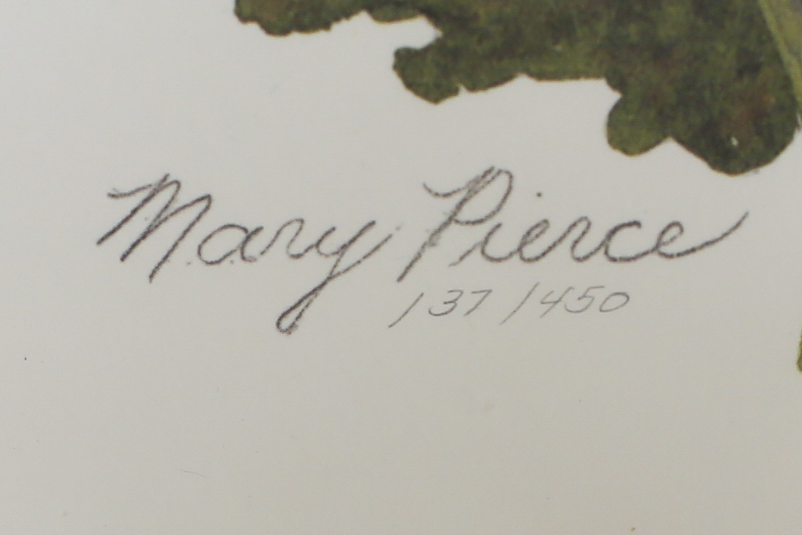 Print after a Watercolor by Mary Pierce