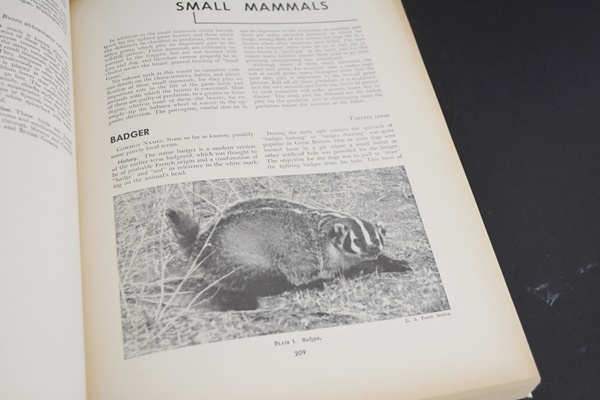 "Guns and Ammo for Hunting Big Game" and "The New Hunter's Encyclopedia" Hardcover Books