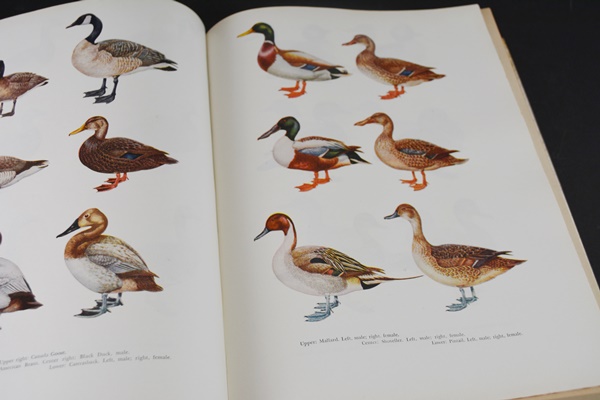 "Guns and Ammo for Hunting Big Game" and "The New Hunter's Encyclopedia" Hardcover Books