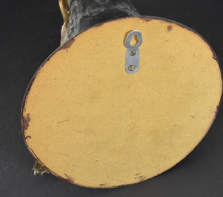 Taxidermy Northern Pike Head