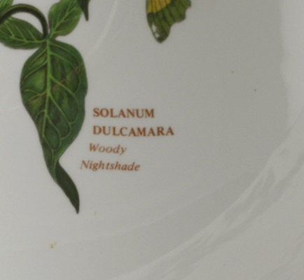 Portmeirion Botanical Garden Salad Server Bowl and Vegetable/Souffle Bowl