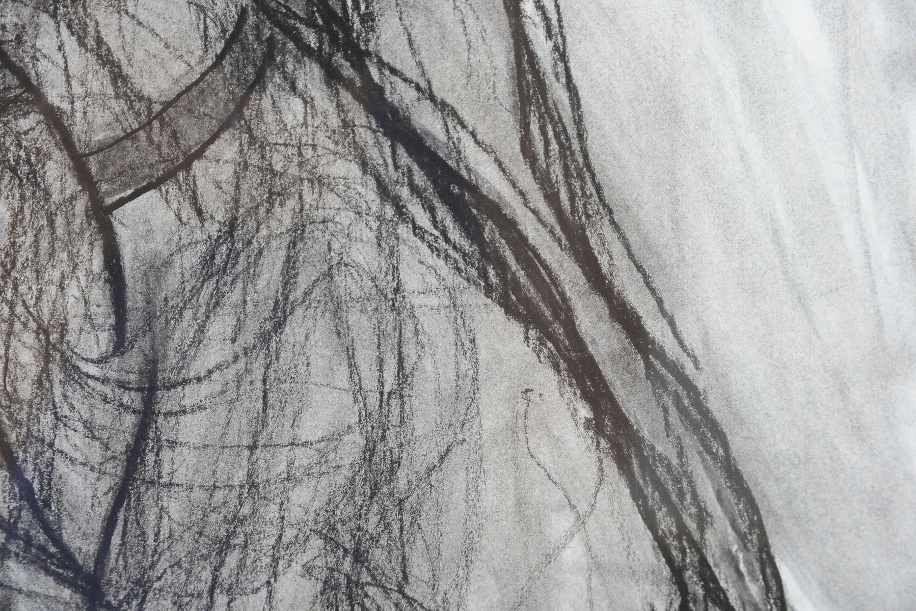 Original Charcoal Figure Drawing by Matt Dolph