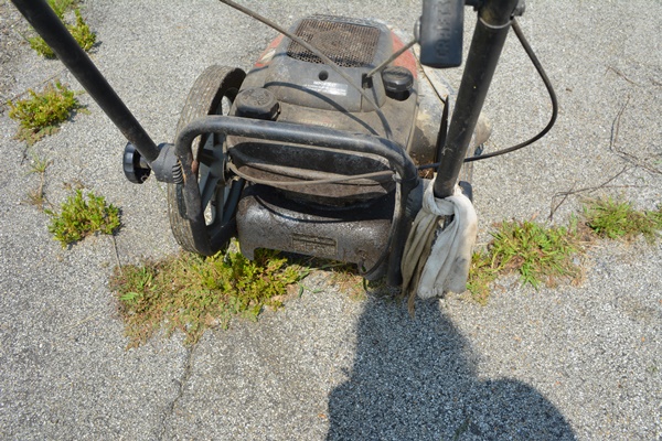 Craftsman High Wheel Weed Trimmer