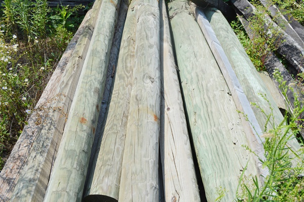 Extra Wood Posts and Fencing