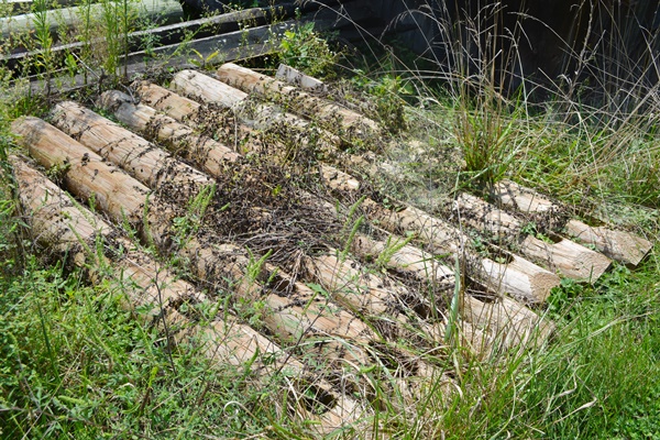 Extra Wood Posts and Fencing