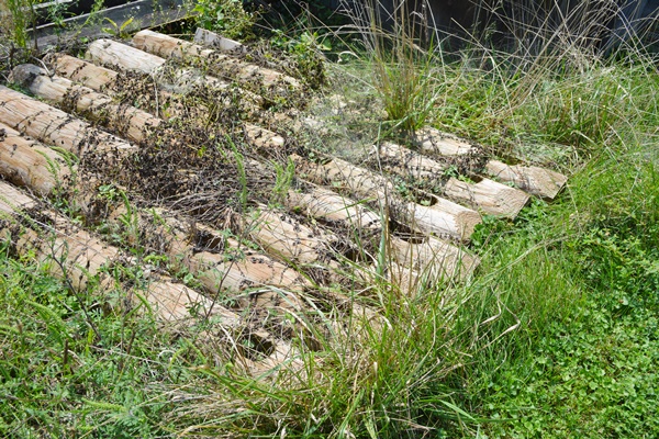 Extra Wood Posts and Fencing