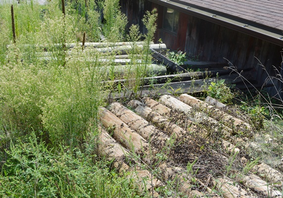 Extra Wood Posts and Fencing