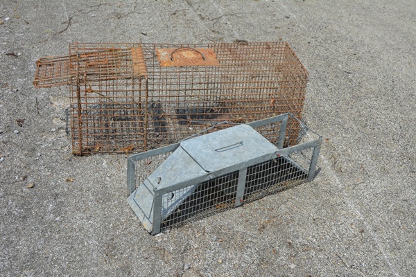 Two Animal Live Traps