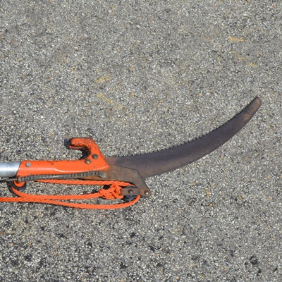 Remington 8' Electric Telescoping Pole Saw 10" Bar and Manual Tree Pruner