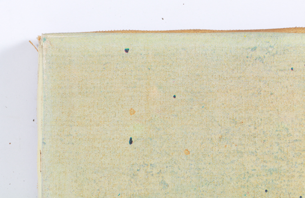 Siamese Cat Lithograph after Fritz Rudolf Hug