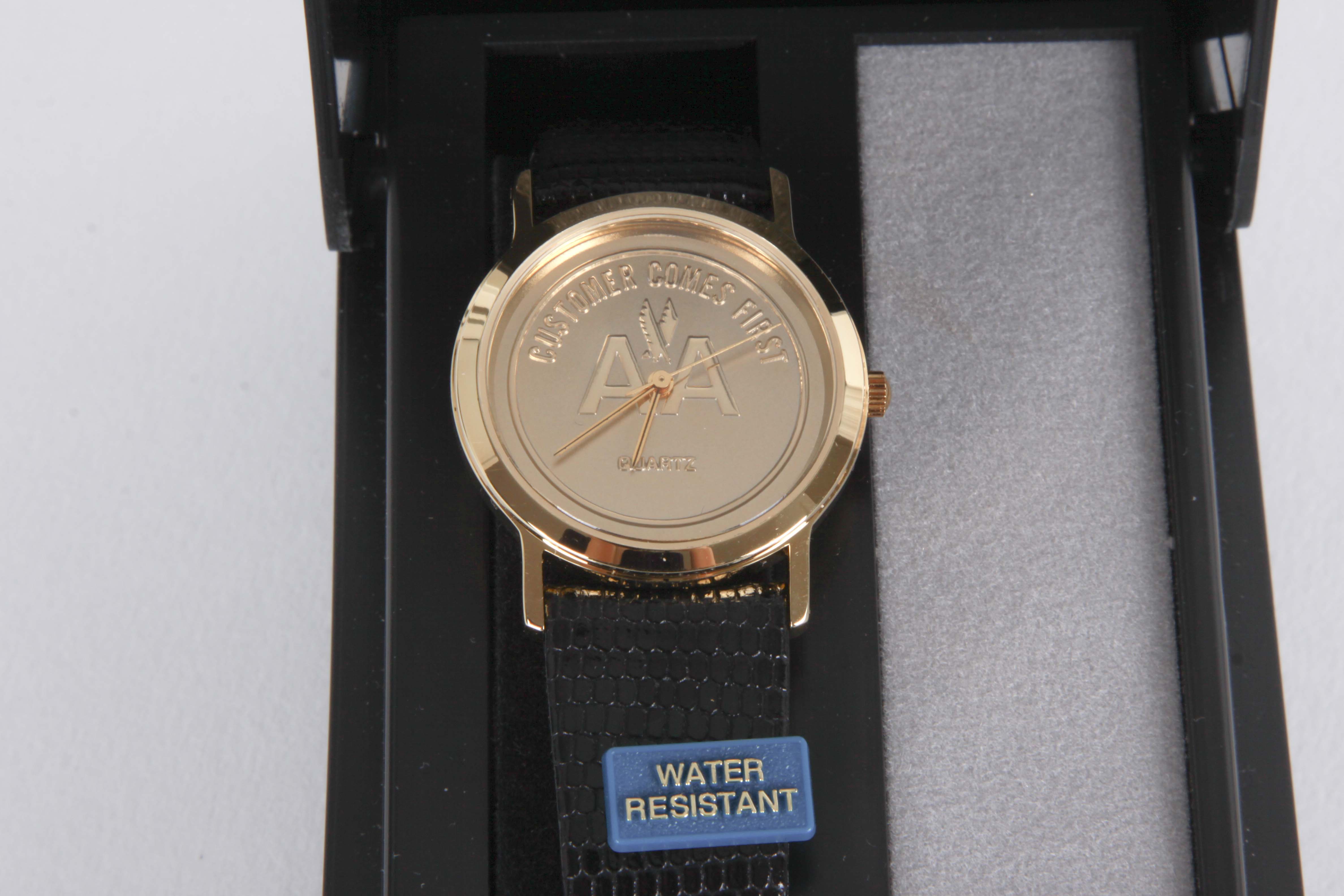 Collection of TWA and American Airline Items