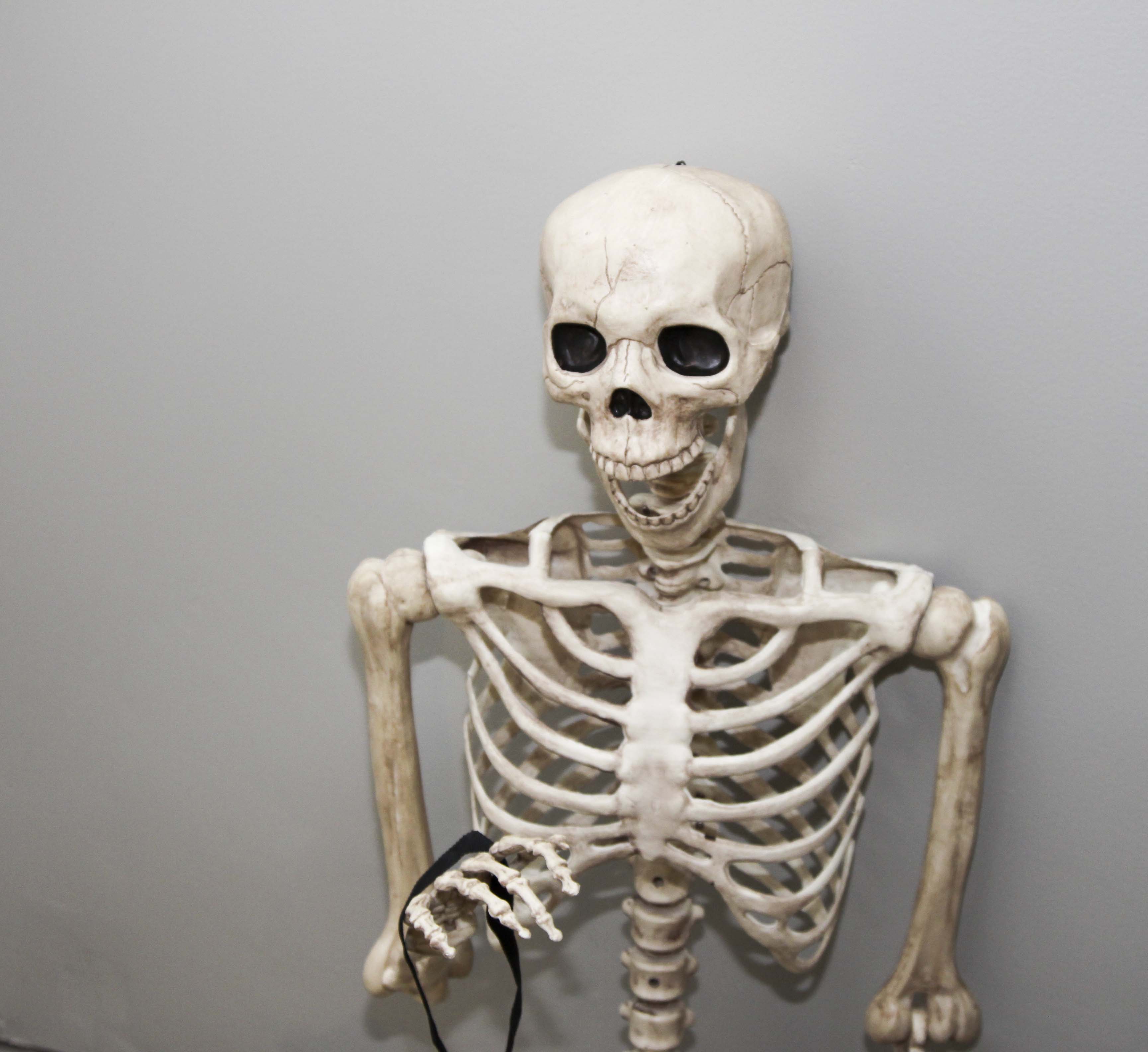 Halloween Decor Group