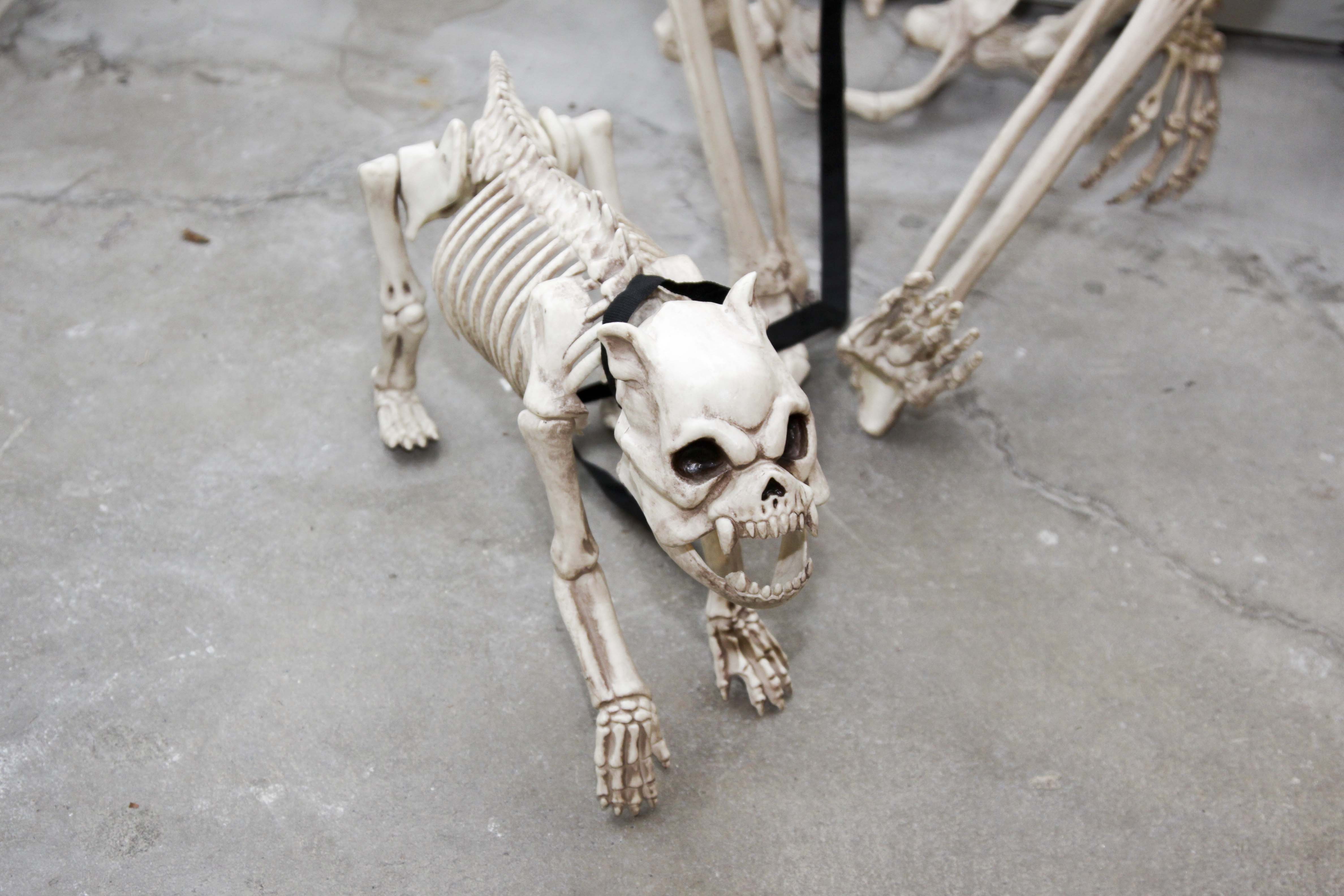 Halloween Decor Group