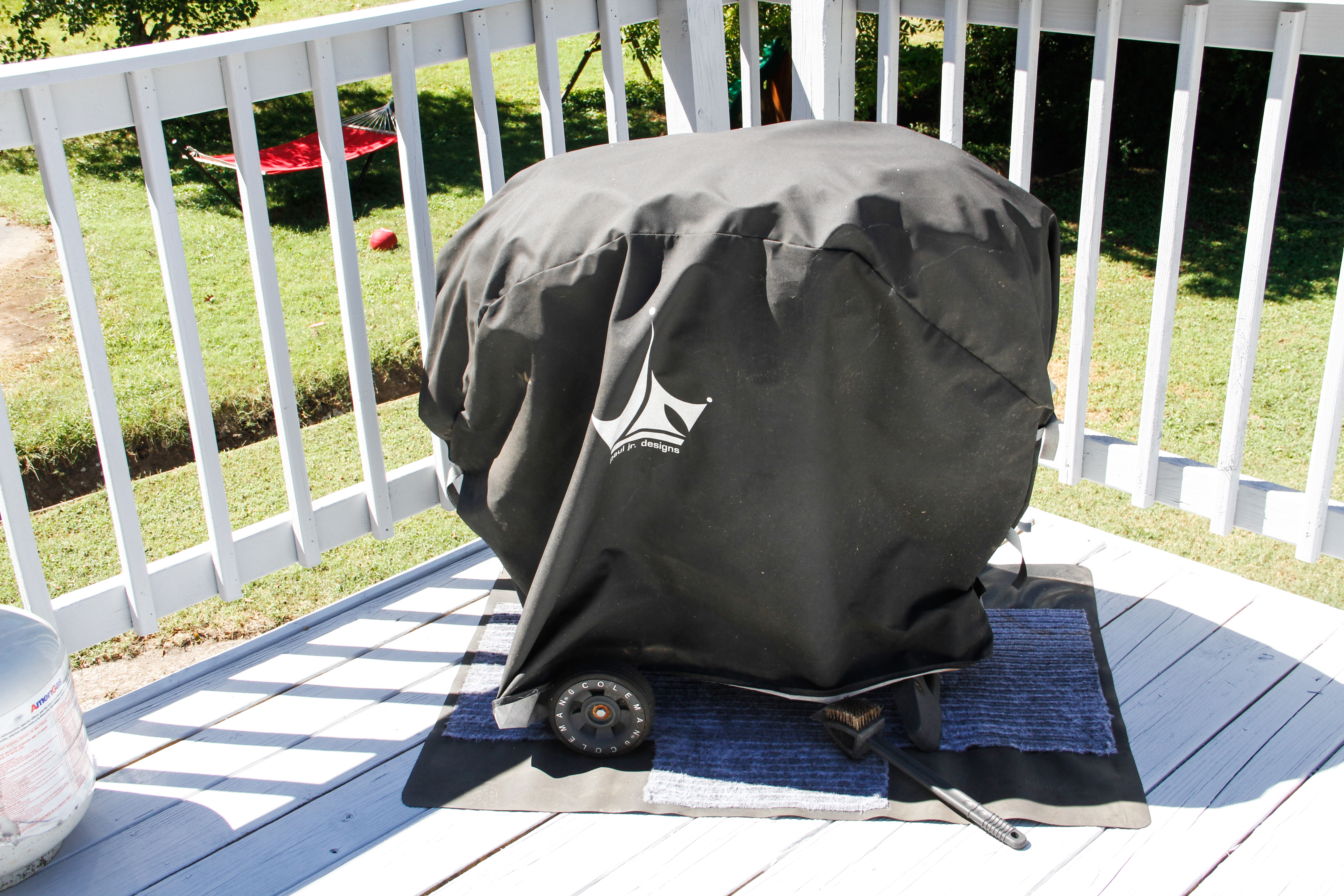 Coleman Propane Grill