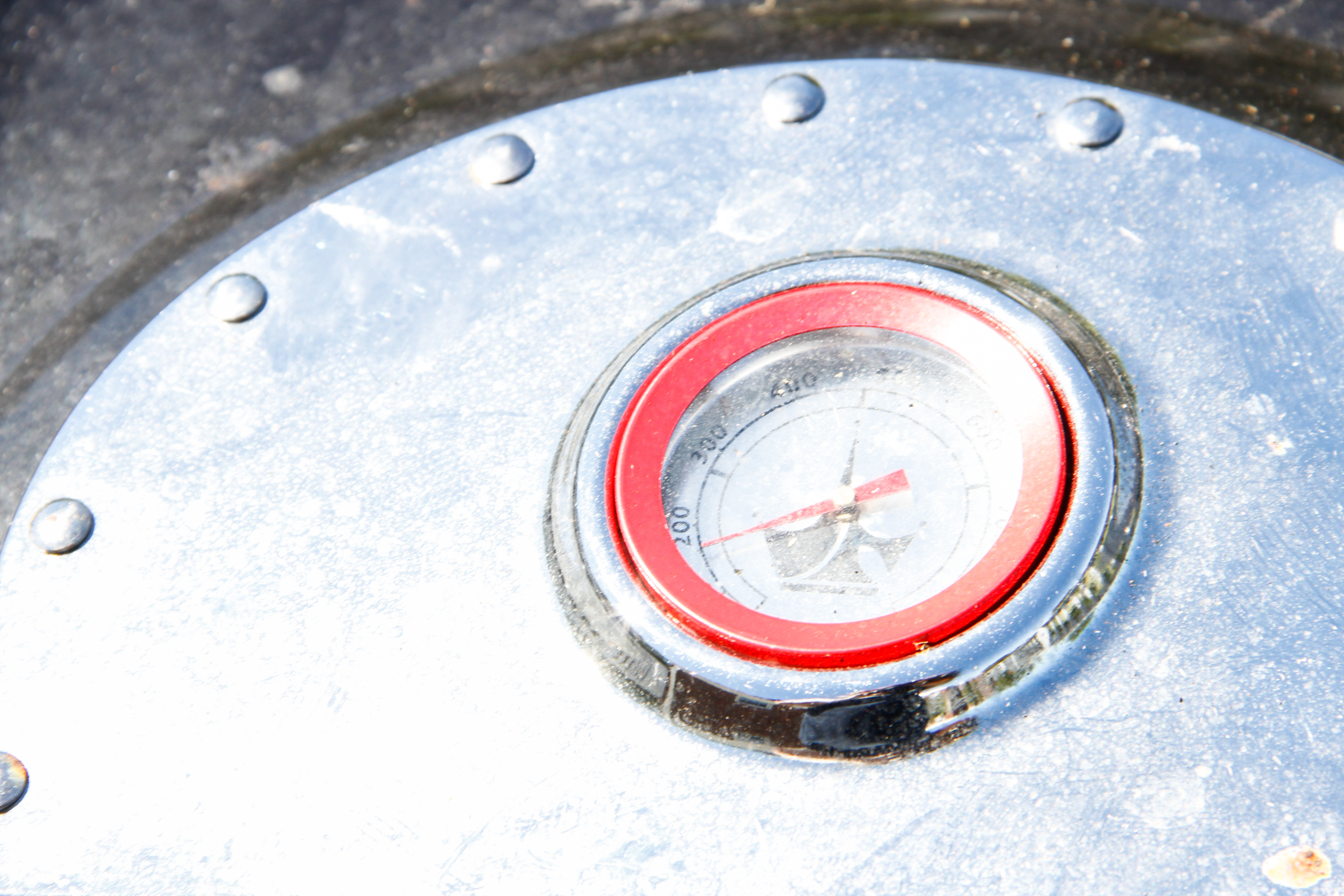 Coleman Propane Grill