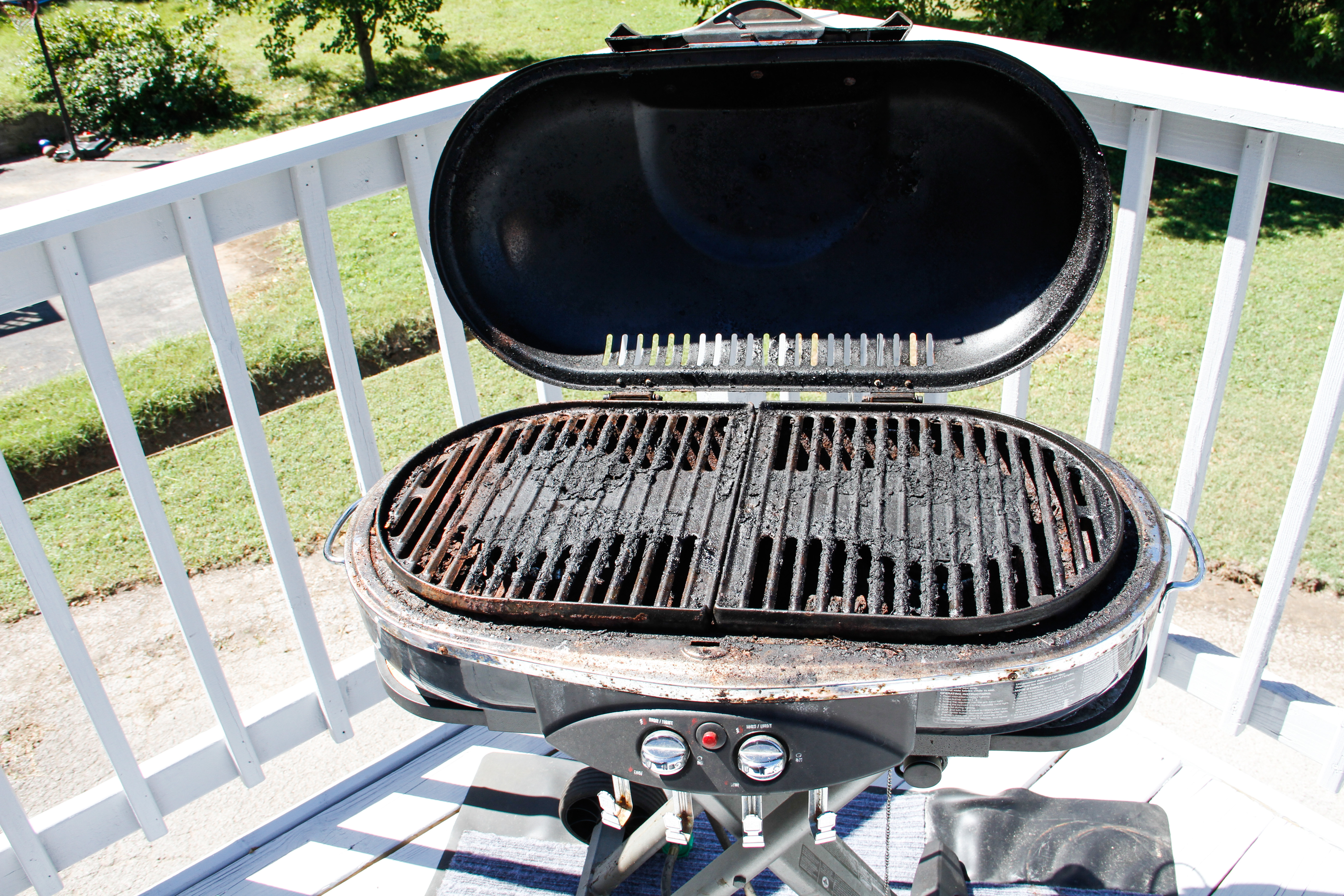 Coleman Propane Grill