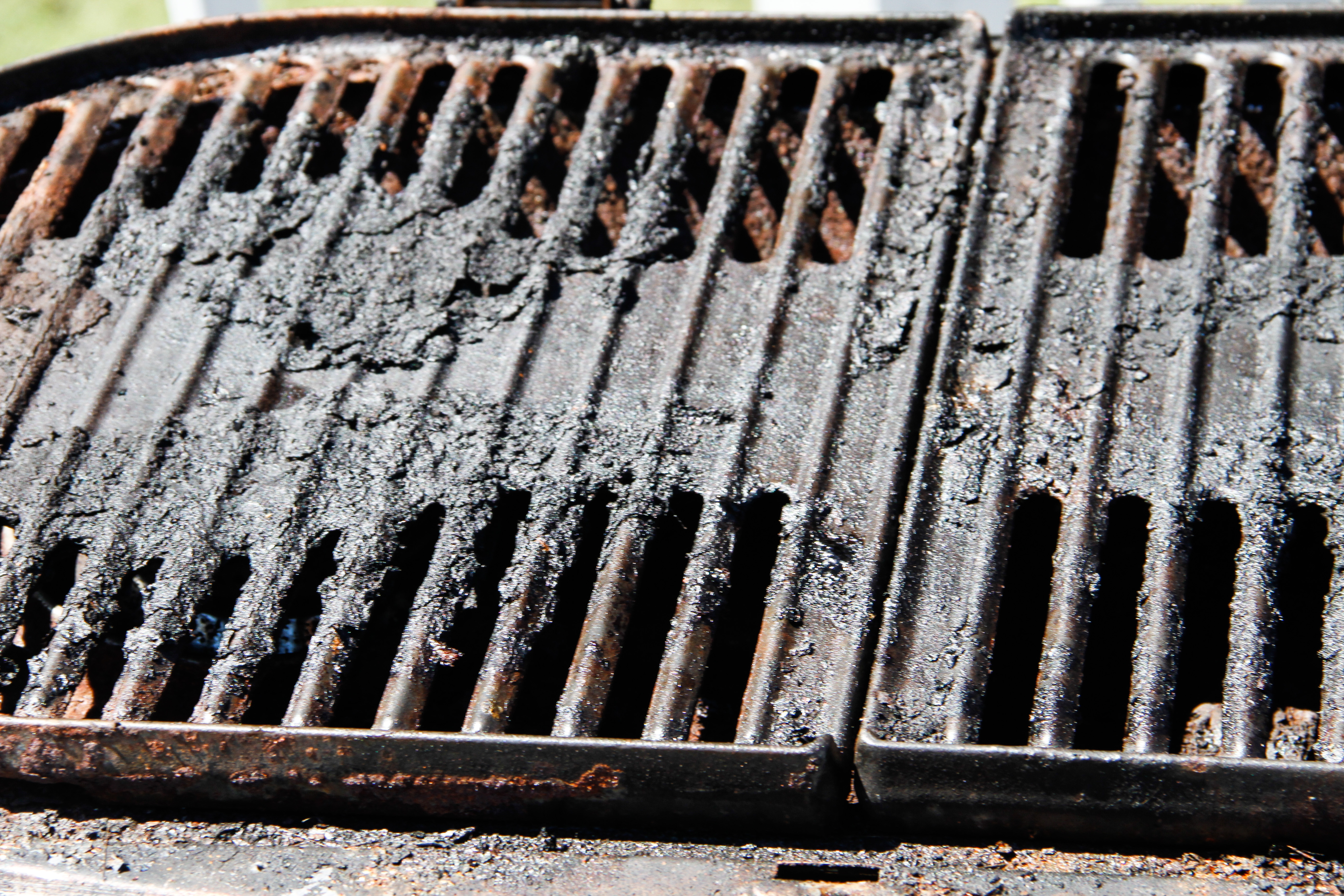 Coleman Propane Grill